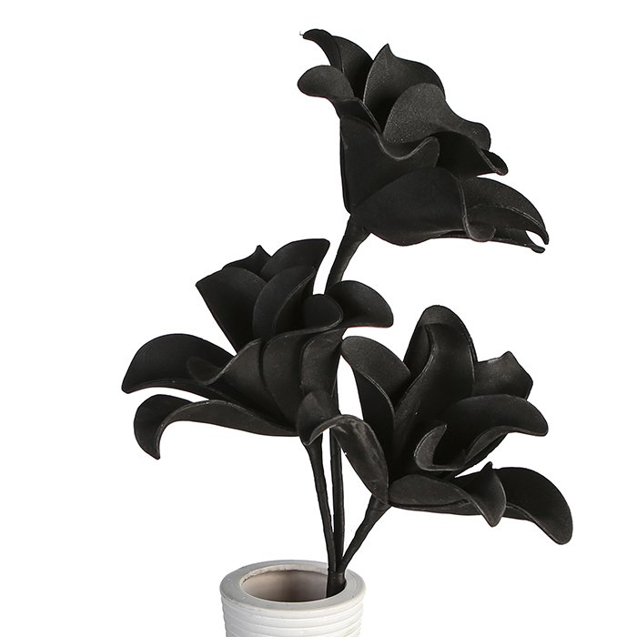 Flower Flower