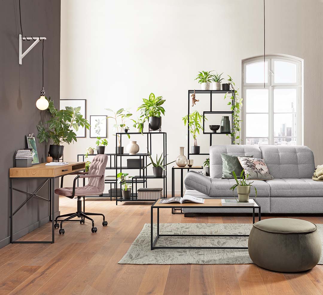 Ein platzsparendes Wohn-Arbeitszimmer im Urban-Jungle-Style ist von Regalen mit offenen Rahmenkonstruktionen geprägt, auf welchen verschiedene Pflanzen wie eine Dieffenbachie stehen