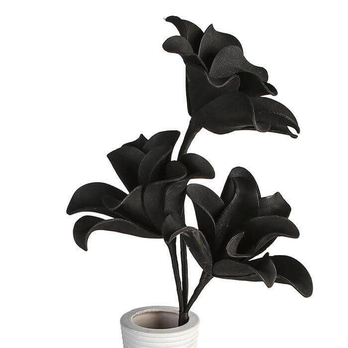 Flower Flower