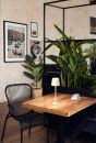Fischer & Honsel Akku Tischlampe Roxi Beige