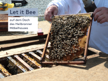 Imker hält mit Bienen besetzte Wabe auf dem Dach des Heilbronner Möbelhauses, daneben Text „Let it Bee“.