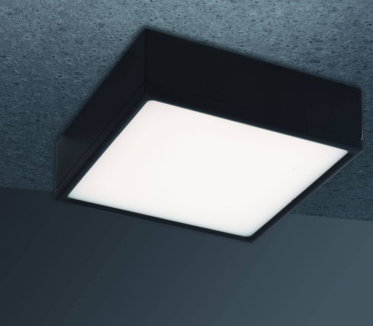 Deckenleuchte, schwarz Deckenleuchte, schwarz