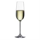 Sektglas mit prickelndem Champagner, isoliert auf weiu00dfem Hintergrund, Getru00e4nk, festlich, Feier, Genuss.