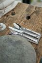 Zwilling; Produktbild