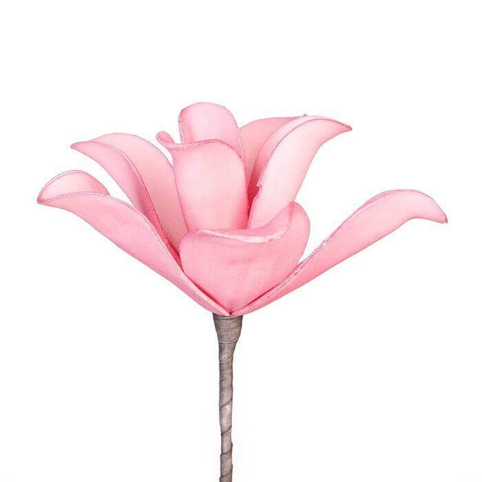 Flower Flower