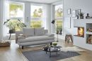 Modernes Wohnzimmer mit grauem Sofa, Kamin, großen Fenstern, Pflanzen und stilvoller Dekoration im skandinavischen Design.