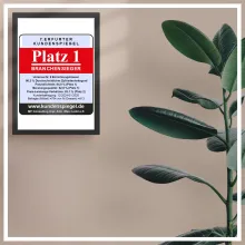 Gerahmte Auszeichnung des 7. Erfurter Kundenspiegels mit dem Titel „Platz 1 Branchensieger“, daneben eine grosse grüne Zimmerpflanze vor beigefarbener Wand und weissem Rahmen.