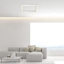 Paul Neuhaus LED Deckenleuchte Pure-Lines Alu 55 x 55 cm