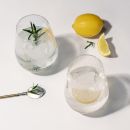 Zwei Glu00e4ser Gin Tonic mit Eis, Zitrone und Rosmarin, daneben frische Zitrone und Lu00f6ffel auf weiu00dfem Hintergrund.