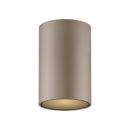 Paul Neuhaus LED Deckenl. Pure Point 1flg Moderne zylinderfu00f6rmige Deckenleuchte in Beige, minimalistisch, fu00fcr Wohnzimmer oder Flur, warmes Licht.