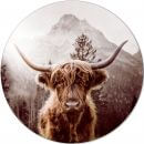 Glas-Bild Scottish Highland Cattle