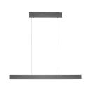 Neuhaus Pendelleuchte Pure E-Motion