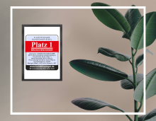 Auszeichnung „Platz 1 Branchensieger“ an Wand neben grünem Gummibaum, moderner Hintergrund, Kundenspiegel.