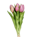 Tulpen Bund Fuchsia 31cm