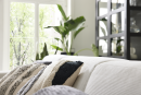 Helles Wohnzimmer mit beiger Couch, dekorativen Kissen, großen Pflanzen und modernem Glasschrank am Fenster.