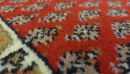 Teppich aus Indien Bikaner Mir 50 rot 250 x 350 cm