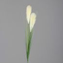 Pampas Gras-Wedel 107cm