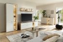 Modernes Wohnzimmer mit Holzmöbeln, TV, Dekoration, Pflanzen und viel Tageslicht, gemütlich und stilvoll eingerichtet.