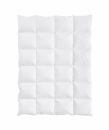OBB Kassettendecke Edition Daune 200 x 200 cm