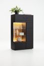 Schwarze Vitrine mit LED-Beleuchtung, Glasfächern, Dekoration und Pflanze auf dem Schrank, modernes Design.