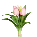 Deko-Tulpenbund Rose