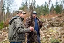 Zwei Männer in Outdoor-Kleidung bei der Aufforstung in einem Waldgebiet; einer trägt junge Setzlinge, der andere hält einen Erdballen mit Wurzeln in der Hand.