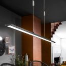 Fischer & Honsel LED Pendelleuchte Metz-TW schw Fischer & Honsel LED Pendelleuchte Metz-TW schw