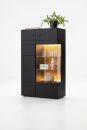 Schwarze Vitrine mit Glasfront, LED-Beleuchtung, Dekoration, Pflanze und modernem Design auf weißem Hintergrund.
