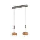 Fischer & Honsel 2-flg LED Pendellampe Shine-Wood