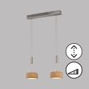 Fischer & Honsel 2-flg LED Pendellampe Shine-Wood