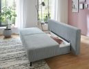 Graues Schlafsofa mit Bettkasten in modernem Wohnzimmer, Holzboden, Teppich und großer Zimmerpflanze.