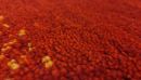 Teppich aus Indien Casablanca rot 200 x 300 cm