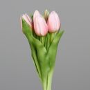 Tulpen Bund Rose 31cm