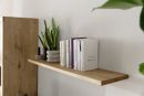 Holzregal mit Büchern, grüner Zimmerpflanze und Dekoration an weißer Wand, modernes Wohnzimmer-Interieur.