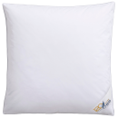 OBB 3-Kammer-Kopfkissen 120 Jahre 80 x 80 cm