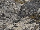Webteppich Raci Beige-Mix 155 x 230 cm