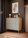 Moderne Kommode aus Holz mit mintgrünen Schubladen, Dekoration und Tigerbild an dunkler Wand im Wohnzimmer.