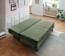 Grünes Schlafsofa im modernen Wohnzimmer mit Holzboden, Pflanzen und Wandbildern bei Tageslicht.