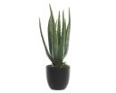 Aloe Vera Kunstpflanze 35 cm
