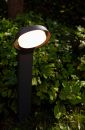 LED Wegeleuchte Polo 1-flg Moderne LED-Gartenleuchte leuchtet im Grünen, umgeben von dichten, grünen Blättern und Pflanzen.