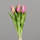 Tulpen Bund Fuchsia 31cm