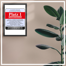 Auszeichnung „Platz 1 Branchensieger“ an beiger Wand neben grünem Gummibaum, Kundenspiegel Göppingen.