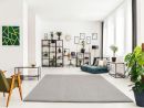 Modernes Wohnzimmer mit großen Fenstern, Pflanzen, Regalen, Sessel, Teppich und minimalistischer Dekoration.